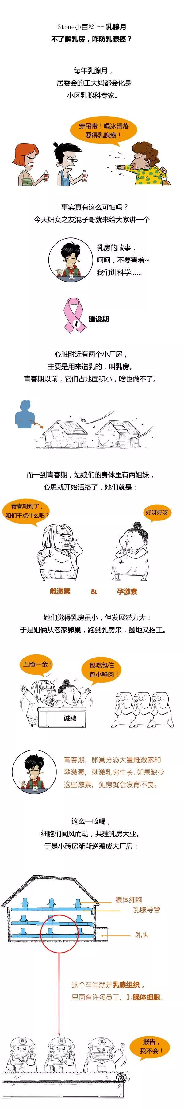 乳腺月:不了解乳房,咋防乳腺癌?