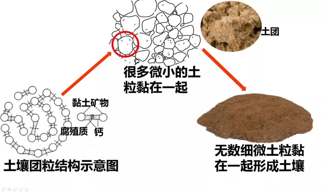 土壤结构