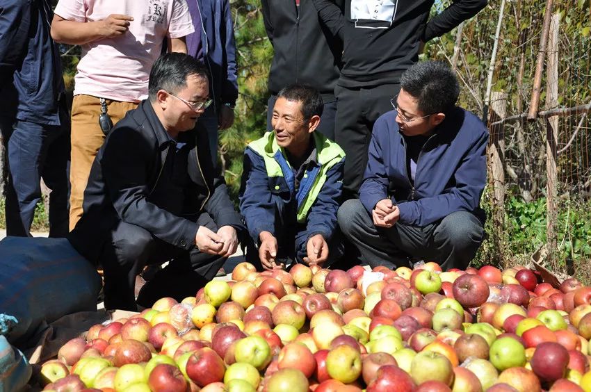 崔茂虎到宁蒗调研脱贫攻坚及泸沽湖保护治理工作