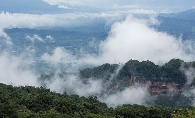 峨眉峨山人口_峨眉刺