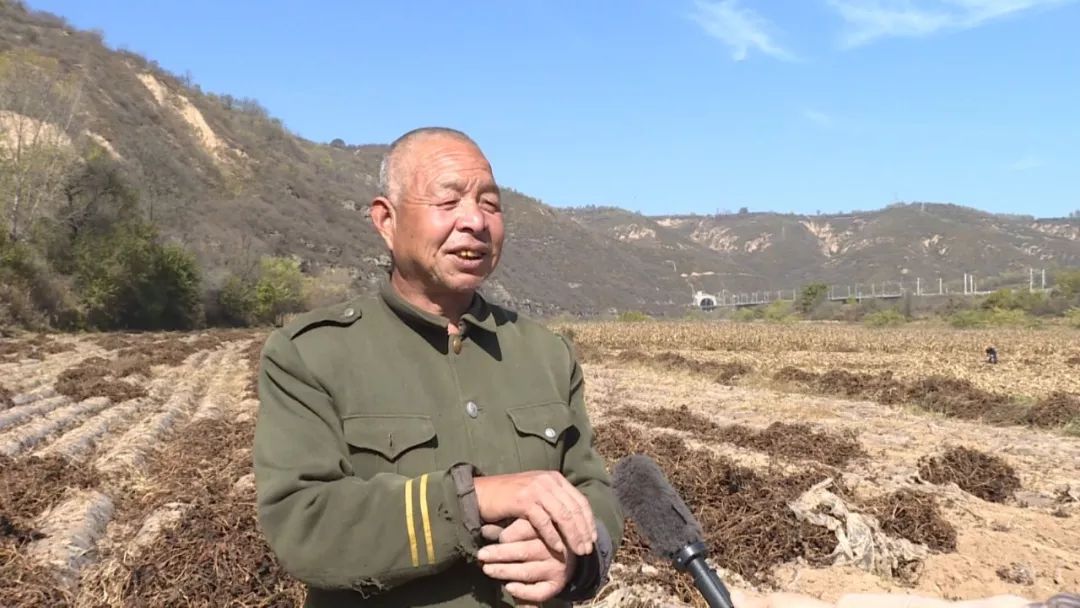 走一起到田庄安沟村刨红薯