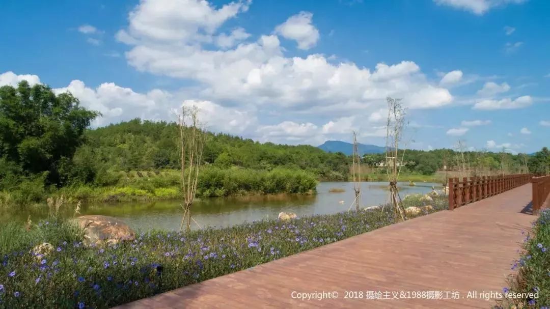 武平的绿色生态来自闽粤赣三省的旅客游客便纷至沓来千鹭湖自开园以来