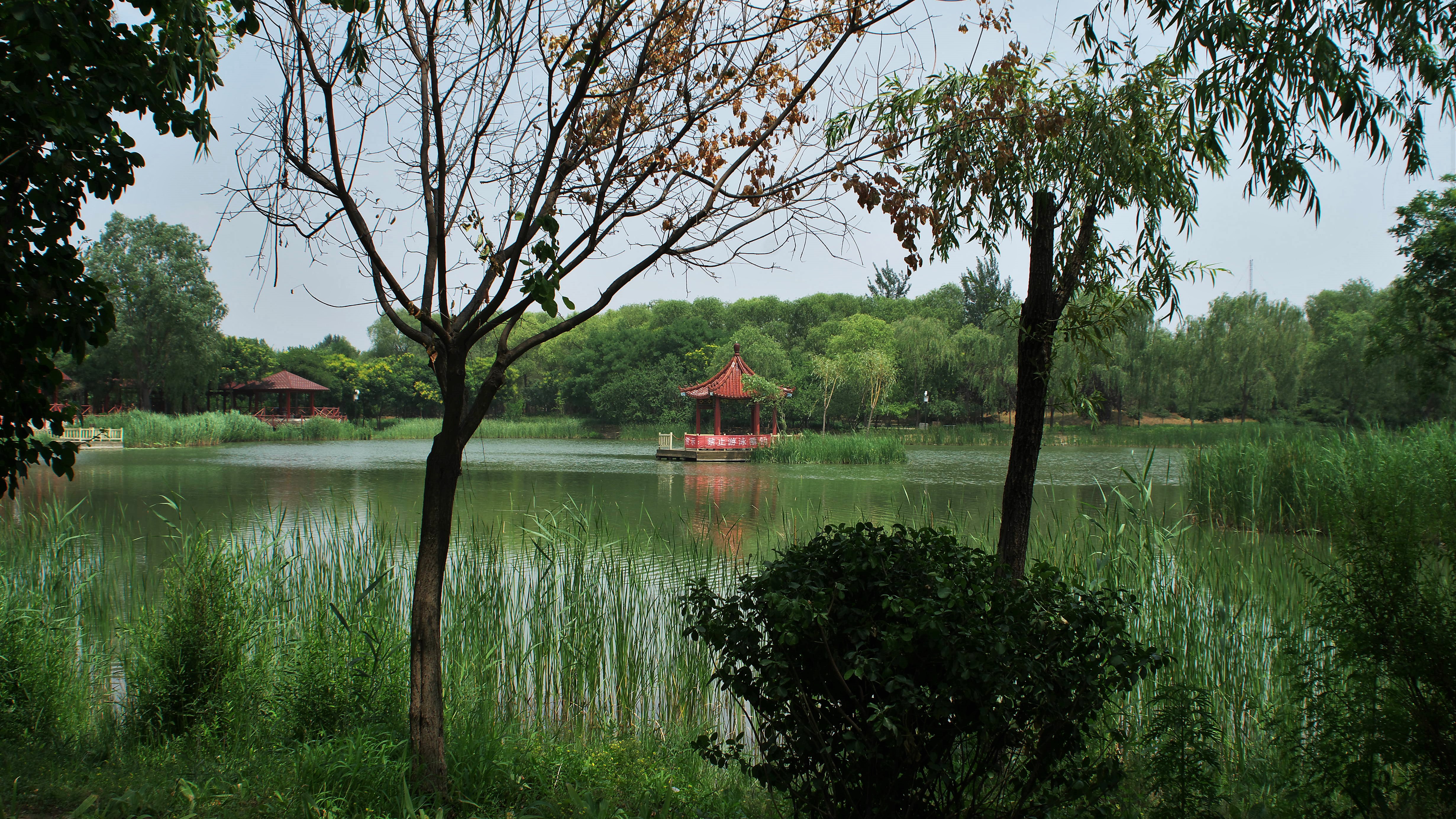 野趣盎然-东坝郊野公园(朝阳区)闲走北京