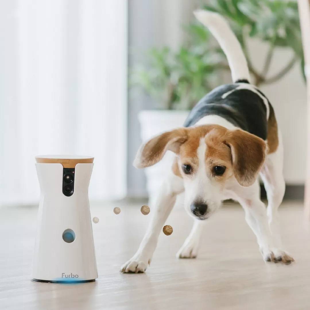 全美亚马逊销售第一的宠物产品来了 Furbo要做AI武装的狗狗保姆