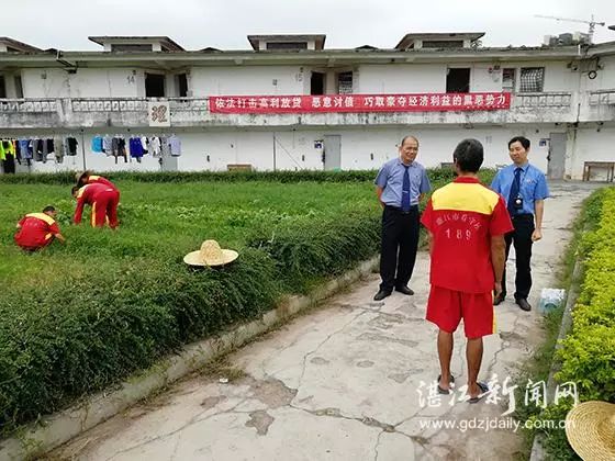 日前,廉江市人民检察院对看守所在押人员以及社区矫正人员,开展了扫黑