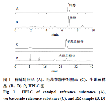 生地黄产地加工炮制一体化工艺研究_梓醇