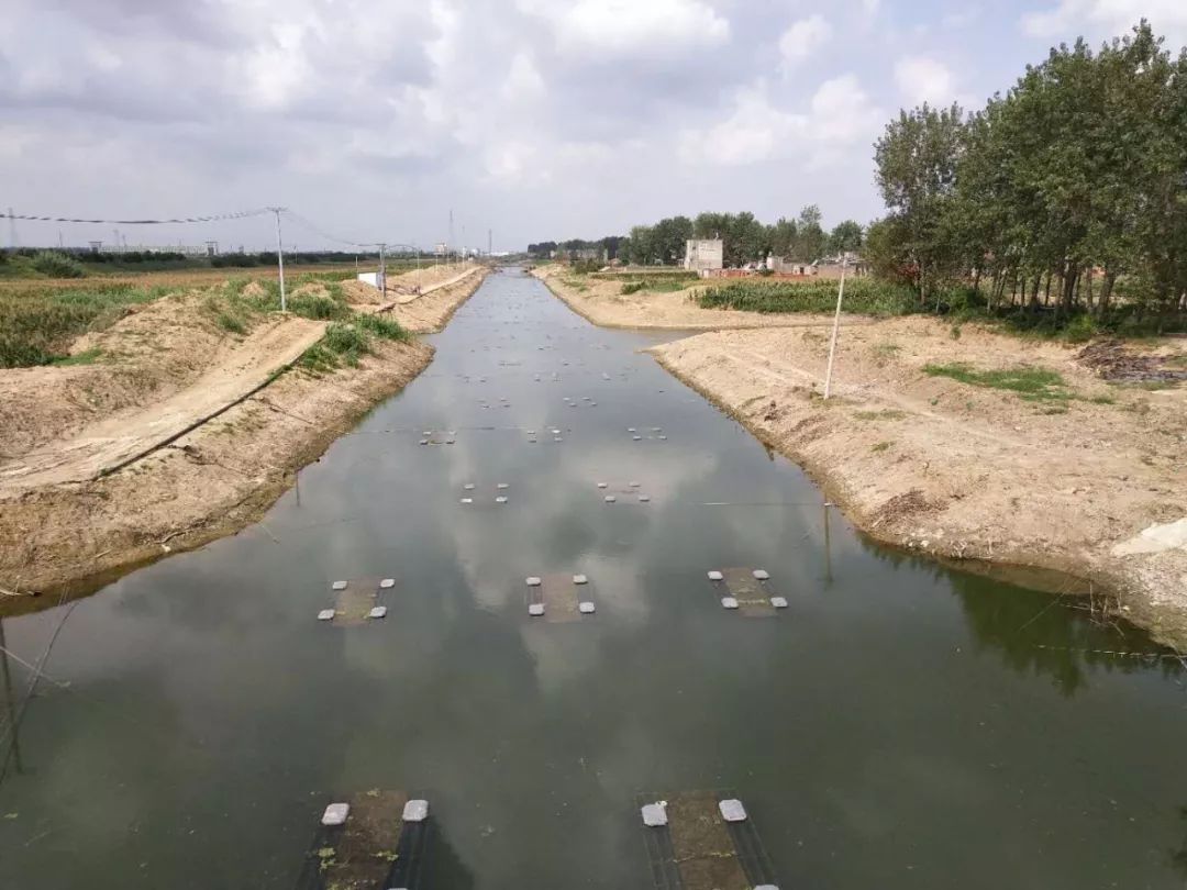 它是将高效生物膜污水处理技术运用于河道污染治理中, 集曝气复氧