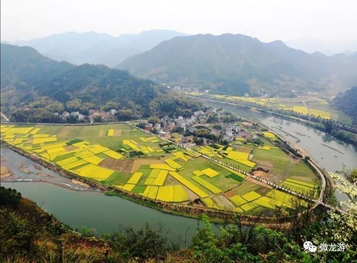 龙游这个国家级登山健身步道,喊你来赏四季啦!