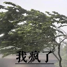 年度最新沙雕表情包合集|我枯了,你呢?