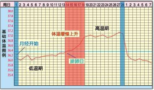 女生發出這6大「信號」，受孕率極高，簡直就是「一碰就孕」 親子 第2張