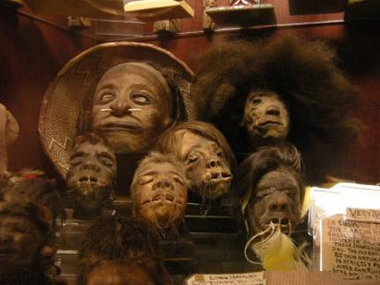 出售"缩头"的门店,店员称,这些被缩小的头颅中依然住着被斩首的亡灵