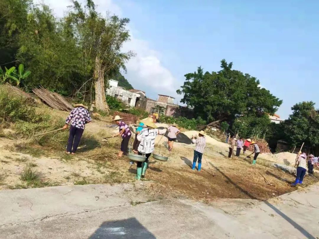 台山北陡镇干部群众齐动手,打造干净整洁美丽乡村!