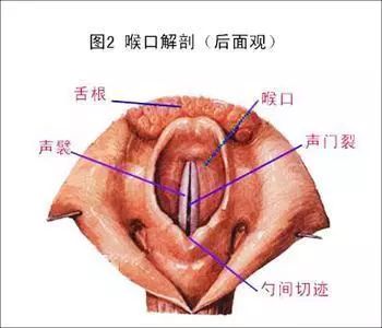 咽炎的中医治疗方法