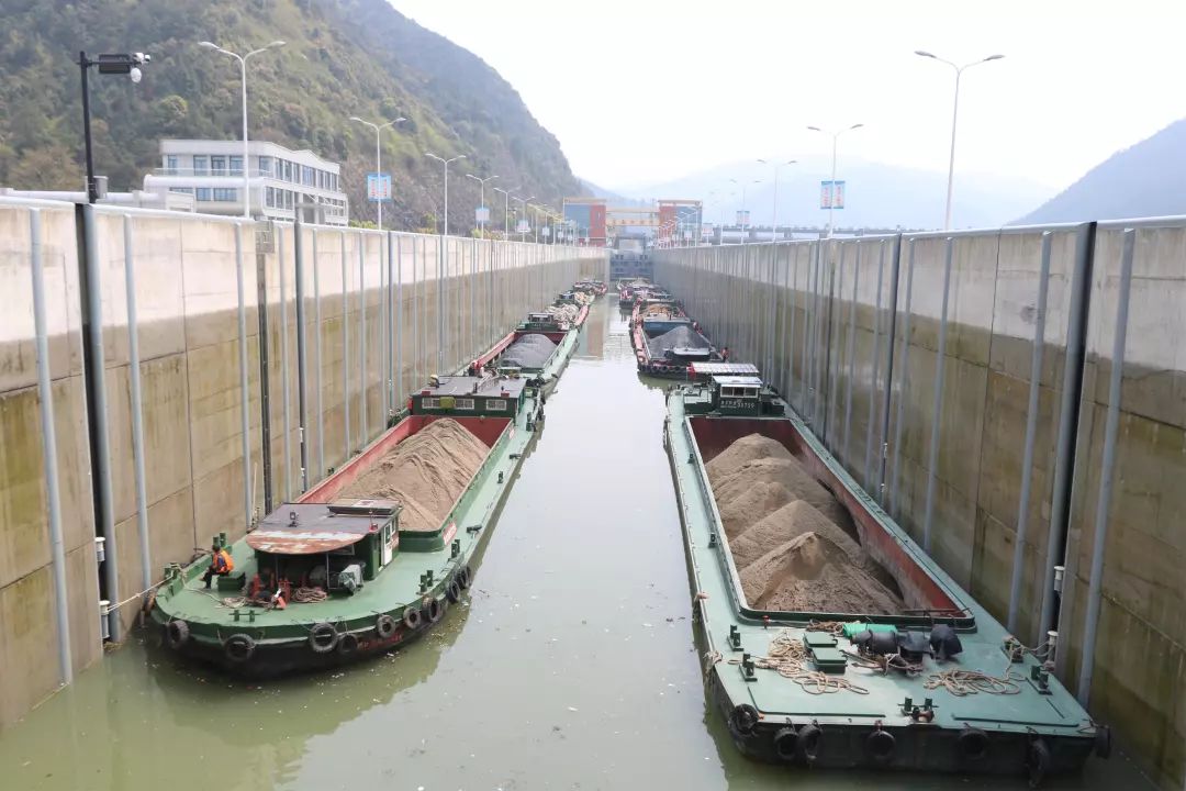 04万吨,标箱数56088teu; ● 新坝船闸通过集装箱船舶613