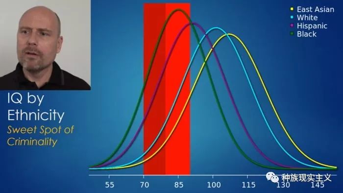 事实:不同种族的平均智商存在差异