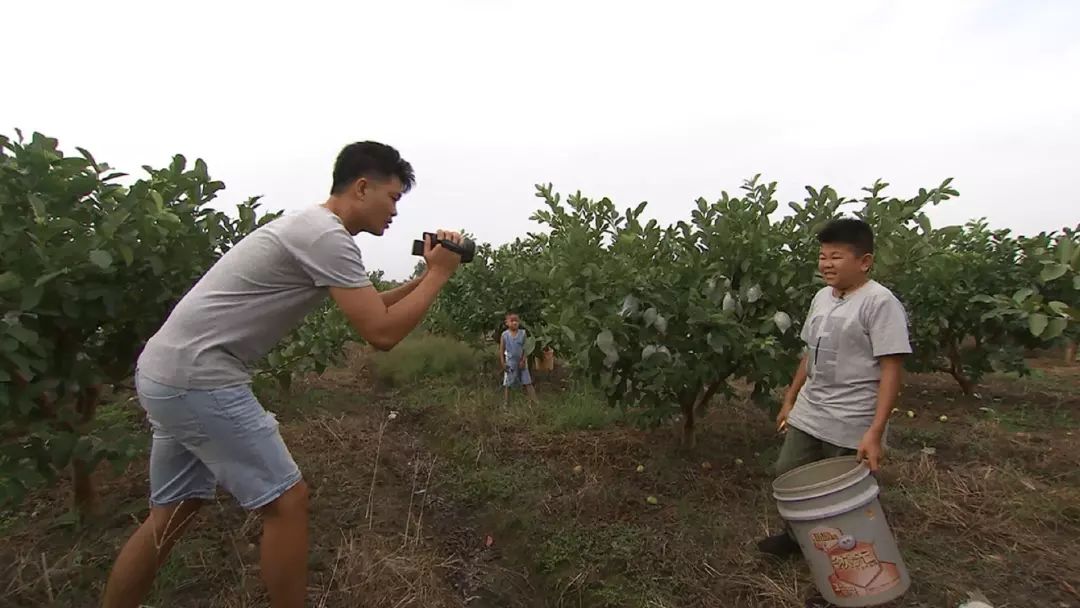 cctv《乡土》讲了:横县,北流,灵山新青年