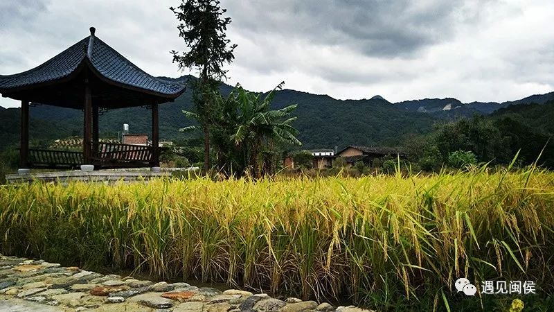 闽侯白沙井下村:打造特色村庄 乡村旅游目的地!