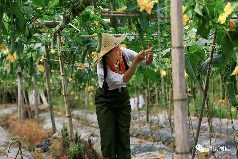 闽侯白沙井下村:打造特色村庄 乡村旅游目的地!