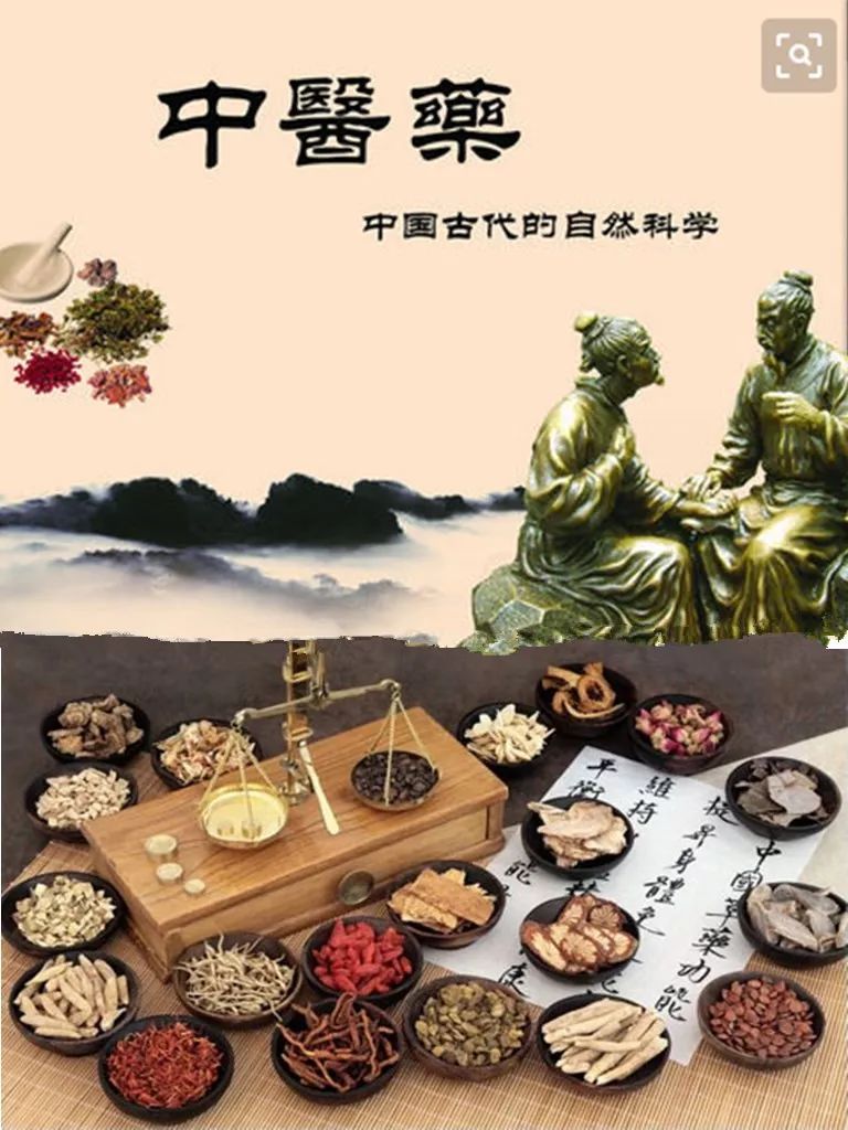 中华文明源远流长,传统文化博大精深,今天让我们开启中医药文化体验之