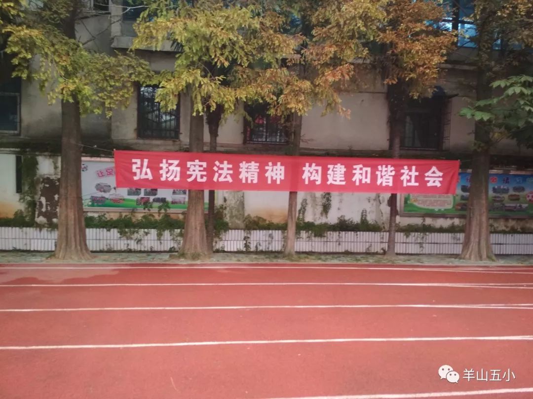 学宪法做知法守法好少年