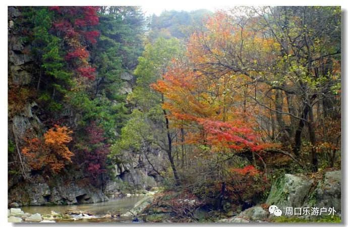 (周口乐游户外)11月2号—4号 大别山 鹞落坪 赏秋三日