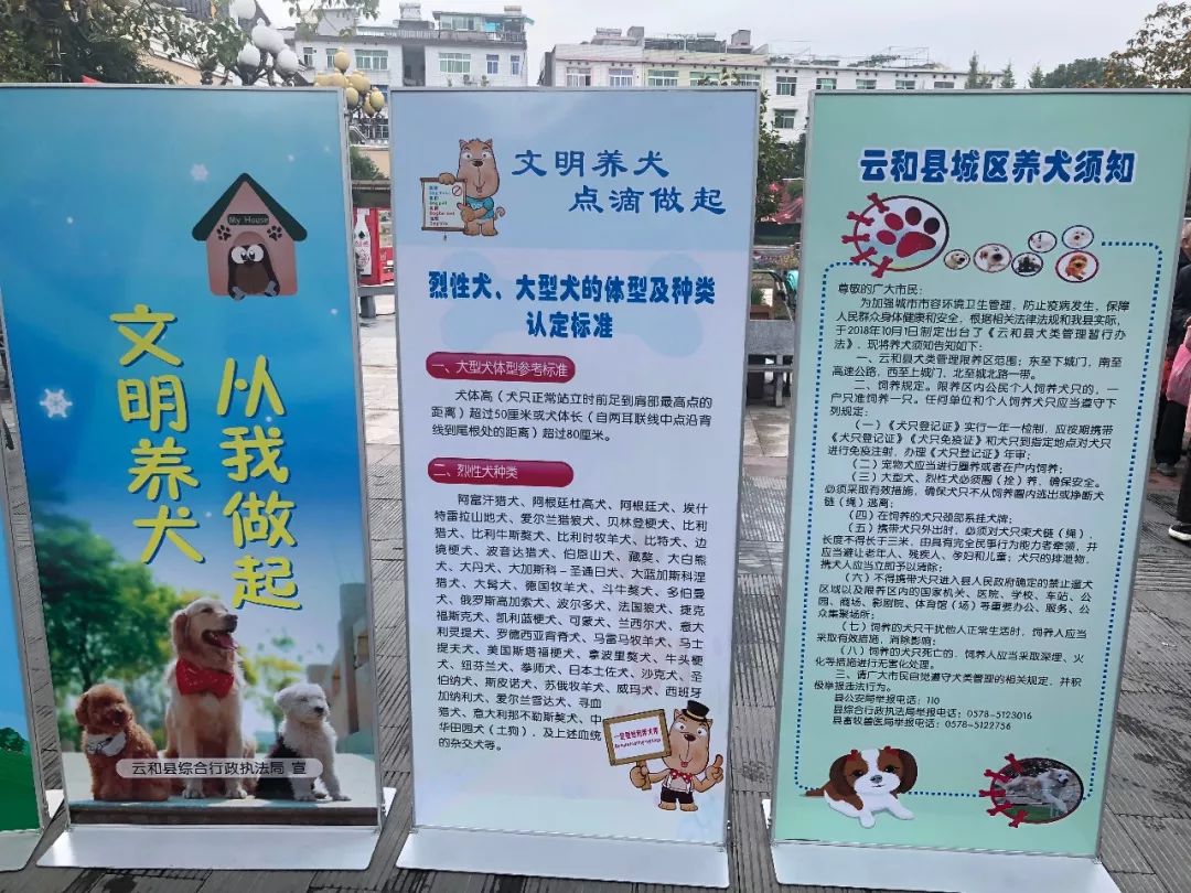 法制宣传日暨文明养犬宣传活动 营造共建共管的城市治理格局