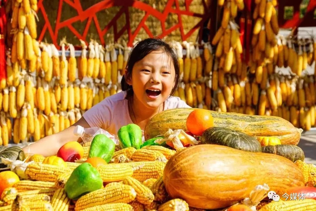 最美丰收画卷| 广东惠州第2届"晒秋文化旅游节"即将开启!