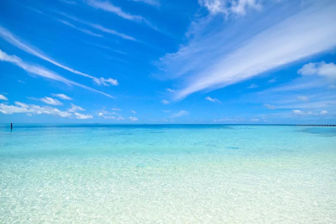 西沙群岛被 《中国国家地理》评选为 中国最美的海岛,这里的海水清澈