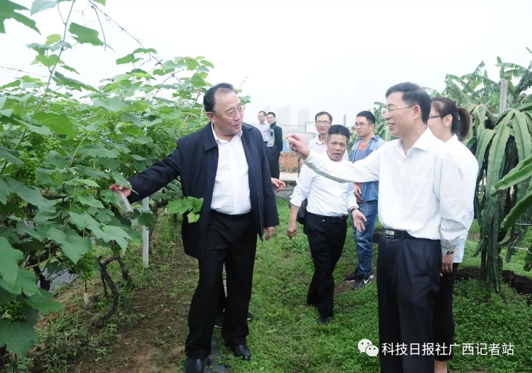 广西农科院首届丰收节暨科技成果展示对接会举行