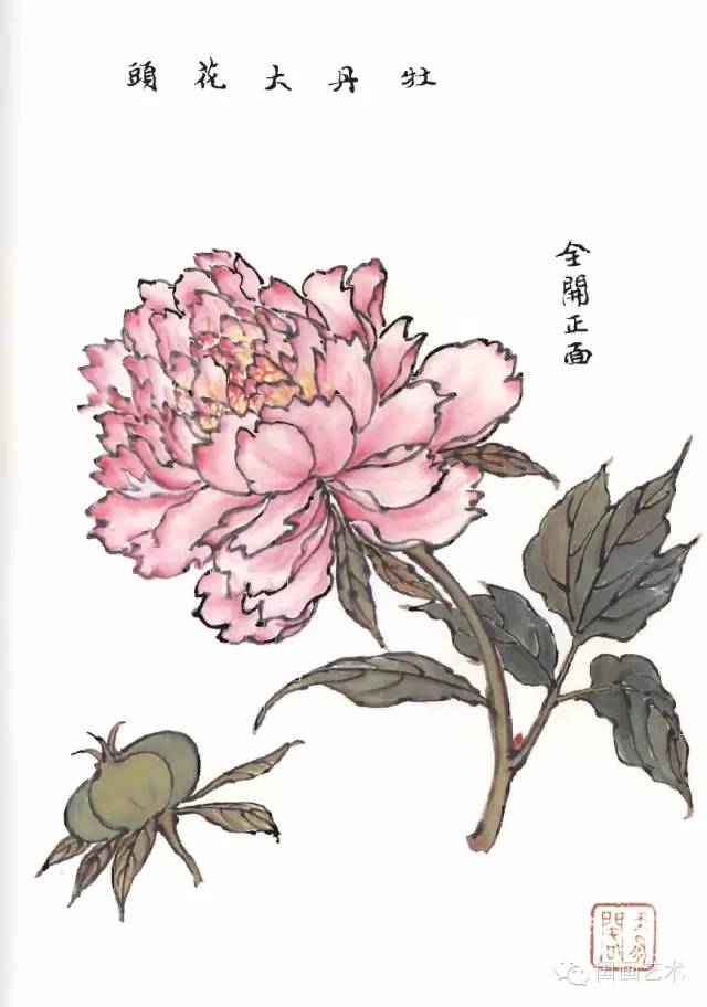 吴蓬临芥子园画谱之翎毛花卉谱