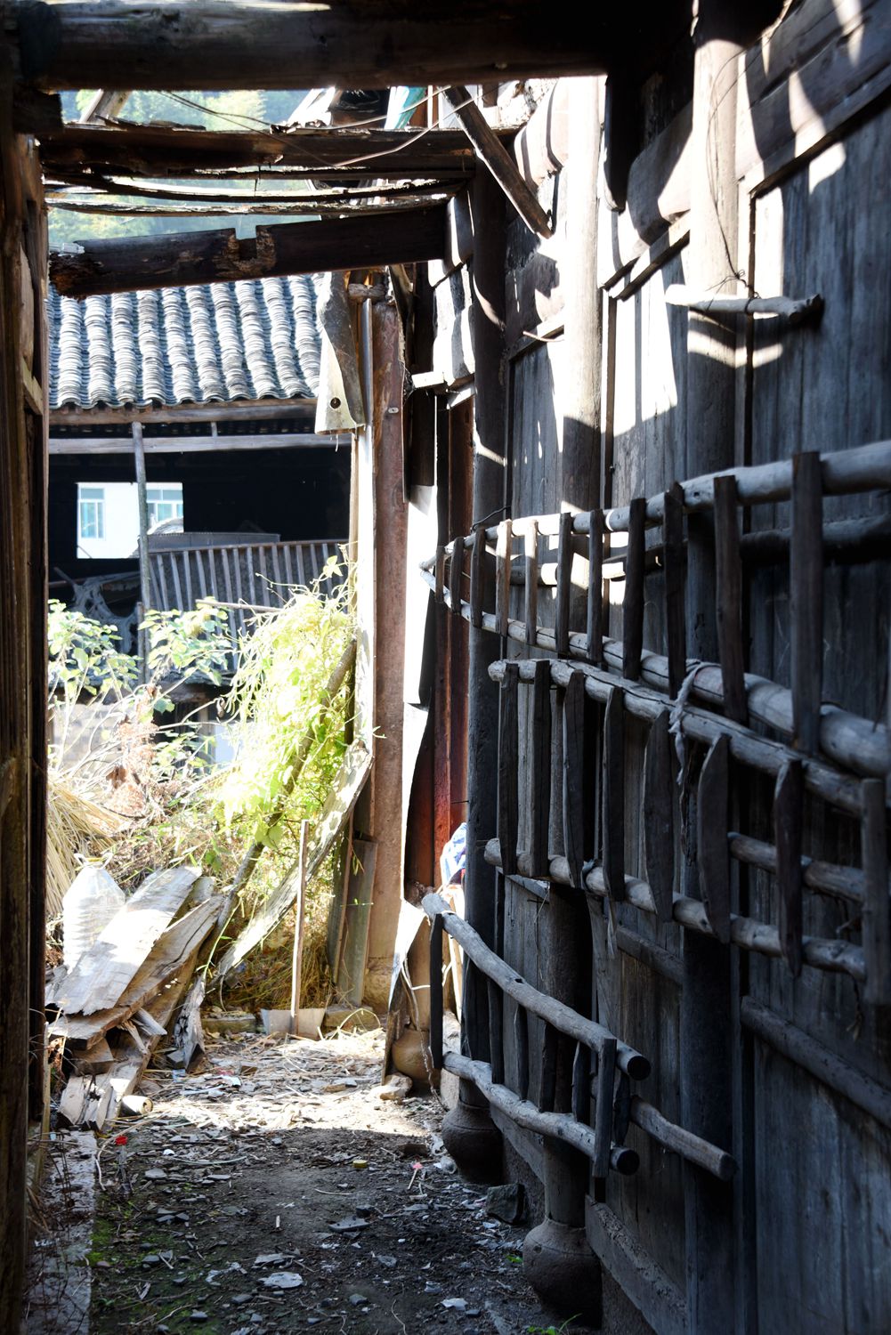 走进步路乡西炉村古屋图片见证农村传统古村落是如何从辉煌走向衰落