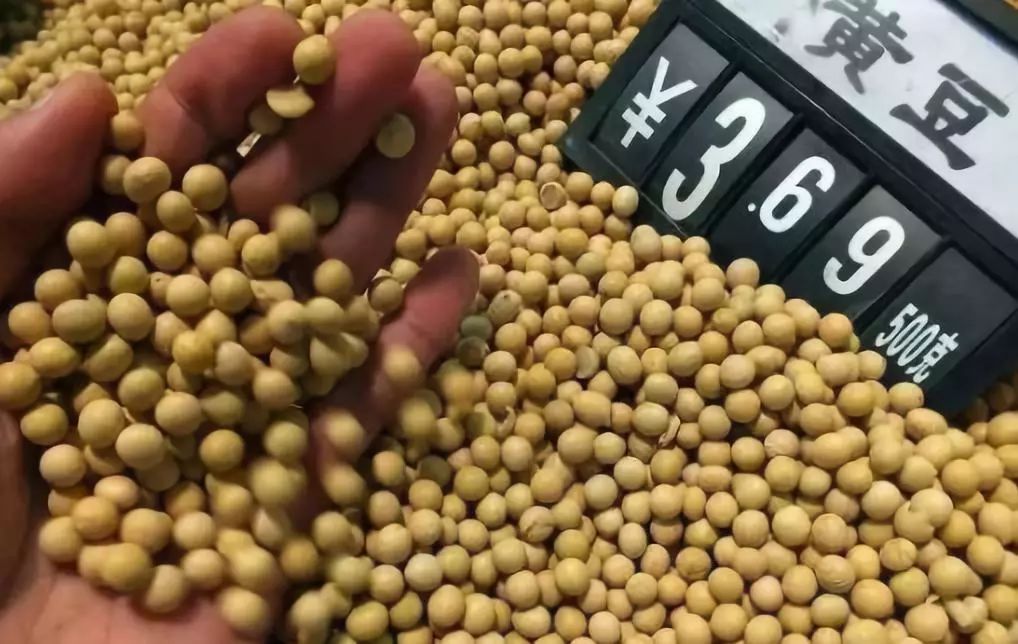 【熱門】大豆補貼比玉米高不少！究竟種哪個更划算？ 商業 第2張