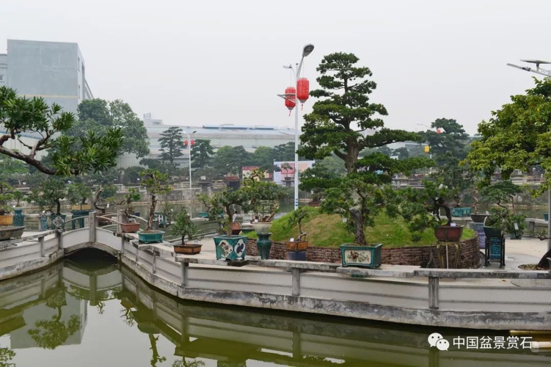 罗汉气度61海岛风骨中盆协真趣园会员活动中心揭牌仪式暨中盆协真趣