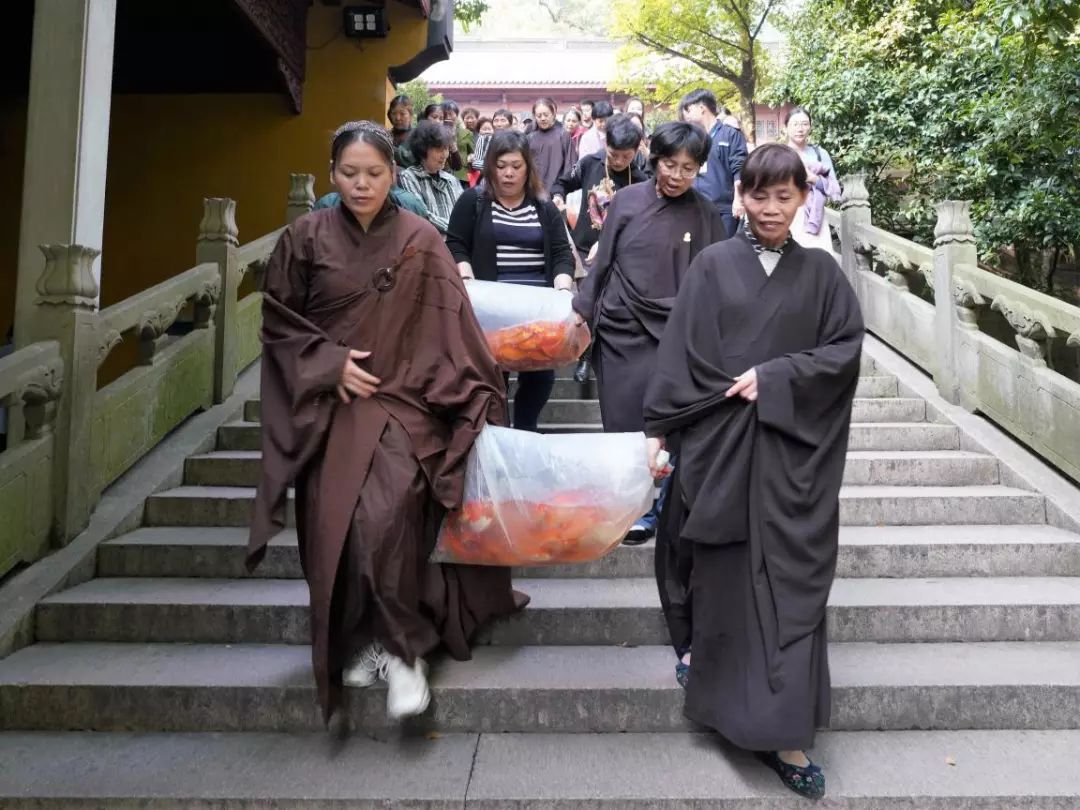 学处|皈依三宝是在家居士学佛修行的入门基础(一)