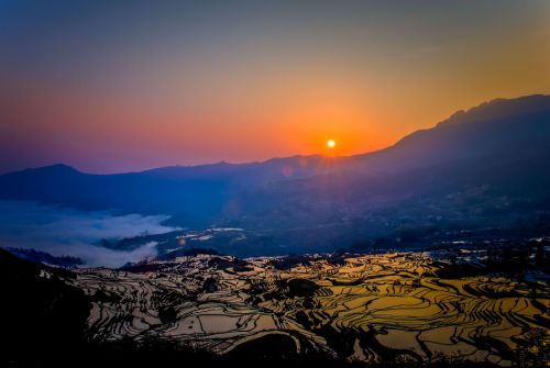 在云南,如果只能选择一处秋景,我选择元阳梯田!