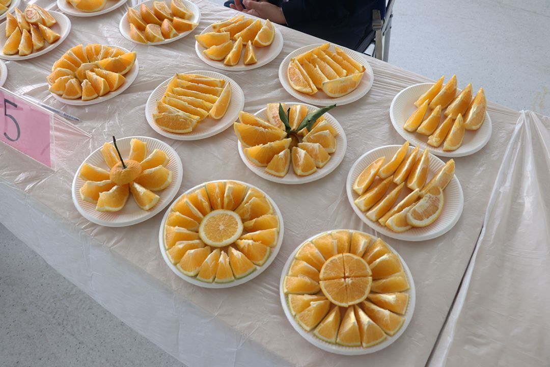 水果试吃柚子橙子天选之果