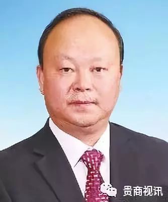 尧栾西高速董事长王伟_洛铜集团董事长王伟