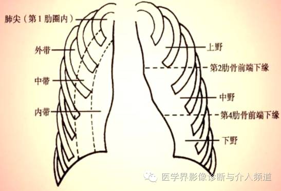 1)肺野划分:肺野从肺门到肺的外周分为三等份分别称为肺的内,中,外带