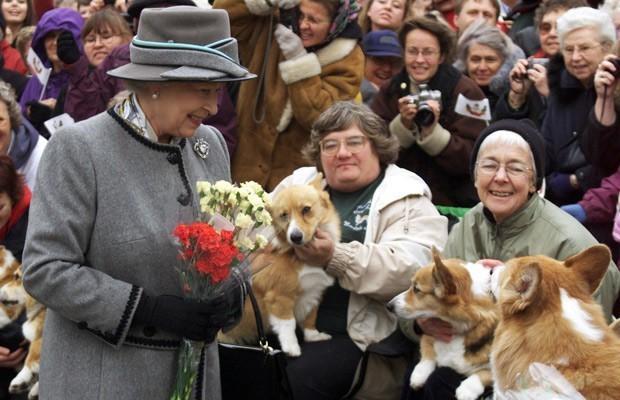 英女王最后一只纯种柯基犬逝世,外媒形容为一个时代的终结!