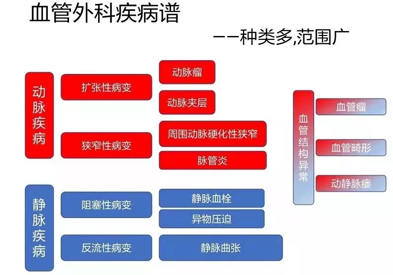 什么是血管外科?看啥病?看完你就明白了