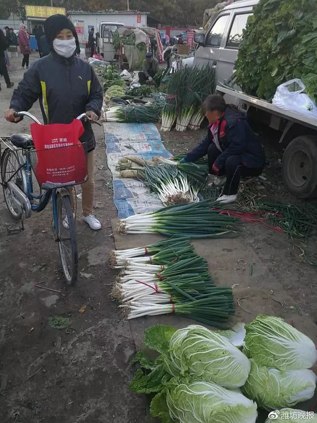 奎文区孙家大集上,商贩在销售大葱,每斤2元.