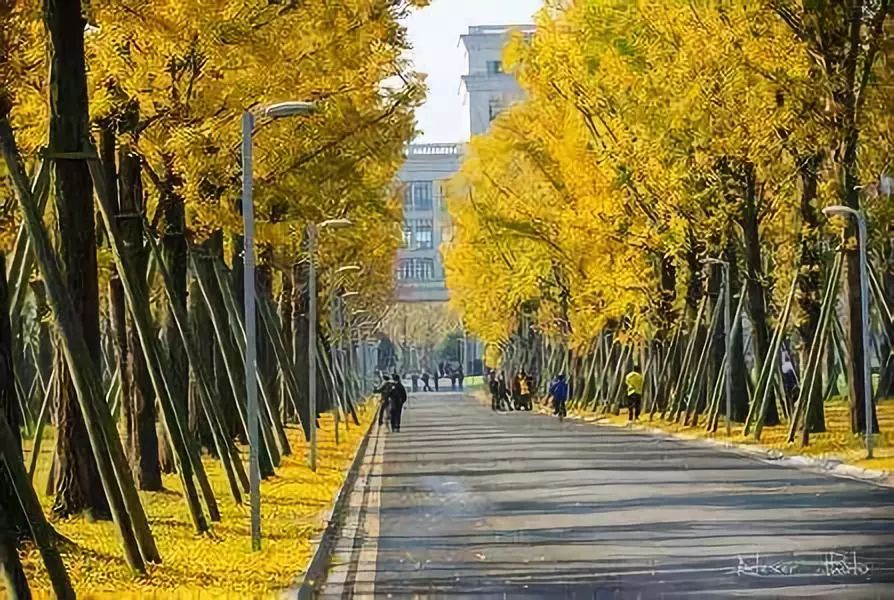 电子科大清水河校区