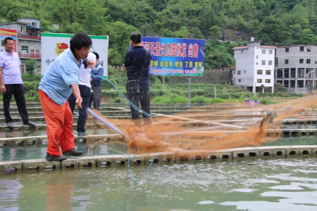 贵州铜仁沿河官舟人口多少_贵州铜仁沿河田浪飞