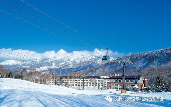 日本长野志贺高原滑雪场史上最全攻略拿走不谢