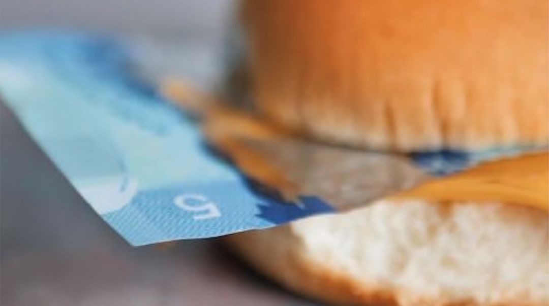 【澳洲生活】澳洲鈔票中竟含有這個成分！！素食主義者抗議 科技 第1張