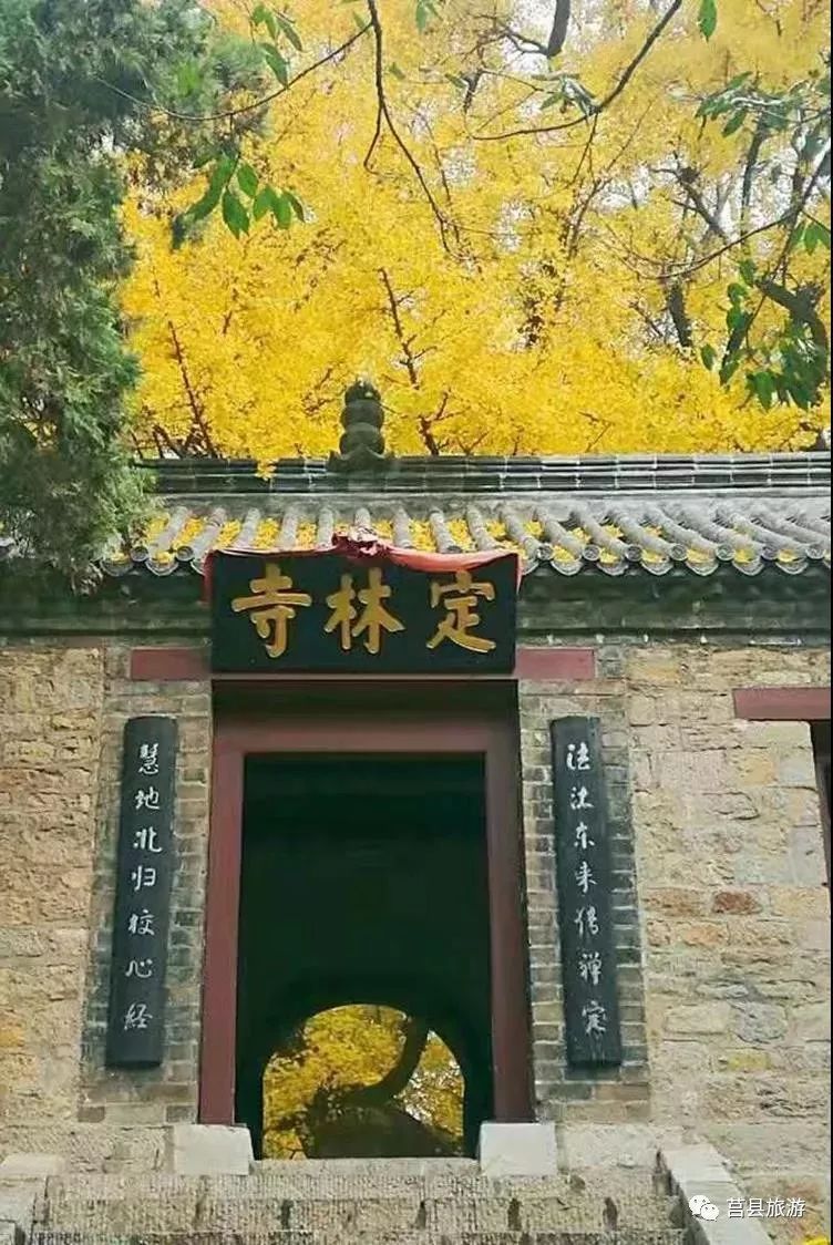 观赏热线:0633—6269977  观赏地址:莒县浮来山风景区  返回搜