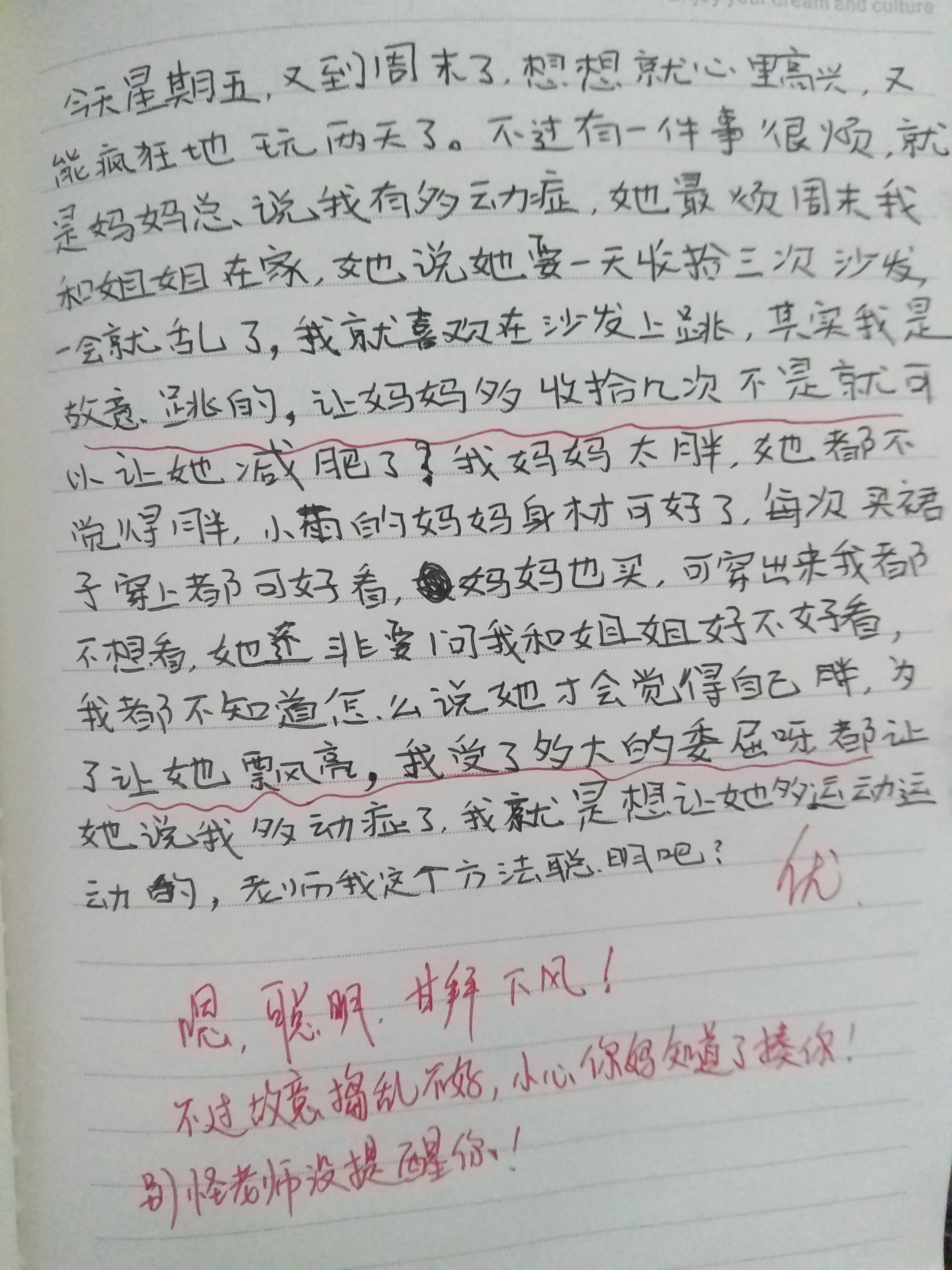 日记我的母亲七年级