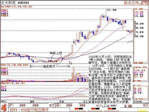 牢记135战法,这才是大道至简!