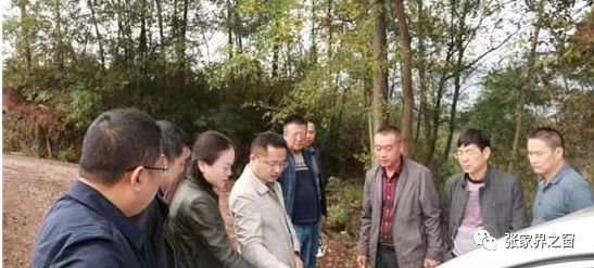 10月26日,桑植县委副书记,县长赵云海来到位于利福塔镇的桑植高铁站
