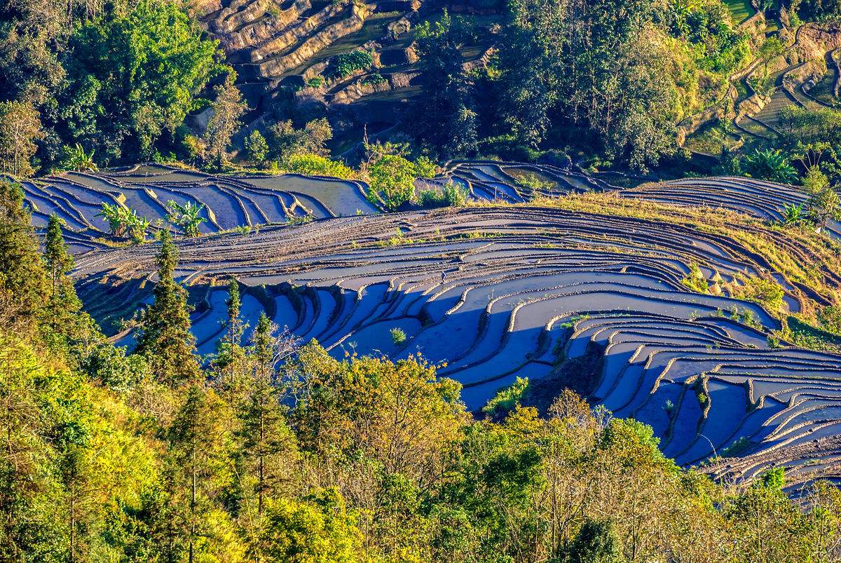 云南红河哈尼梯田旅游价值（云南红河哈尼梯田属于什么遗产）